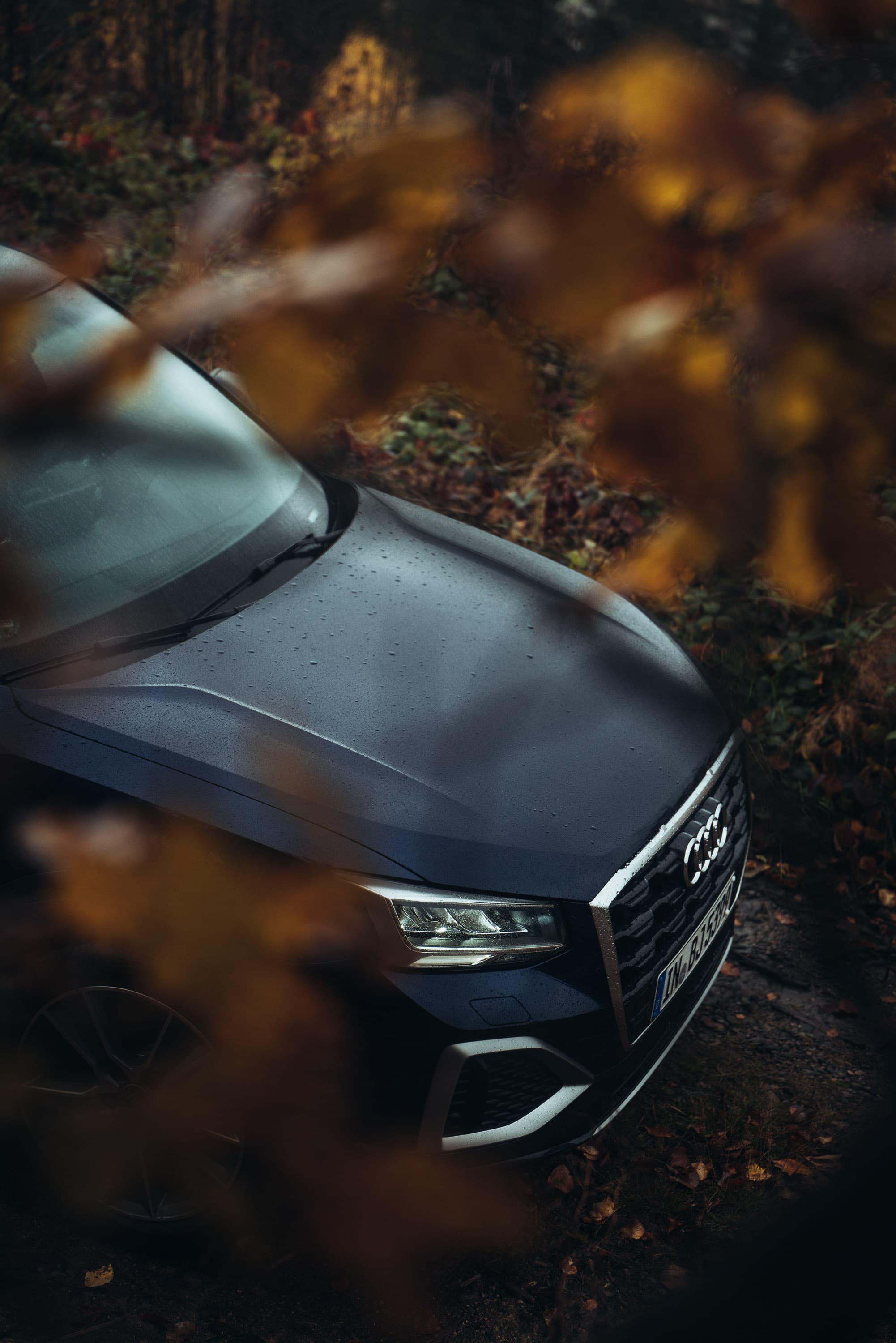 audi 22