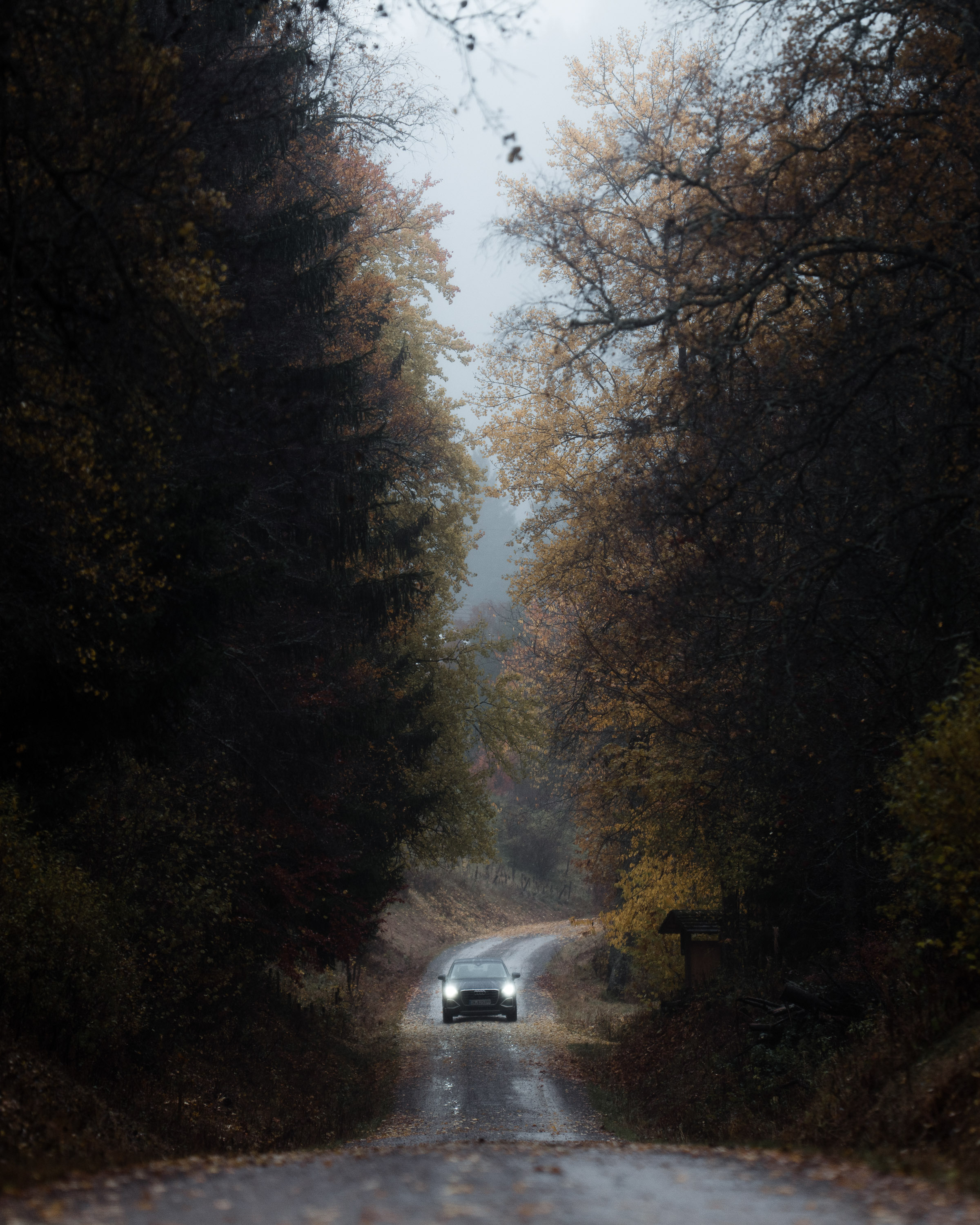 audi 17