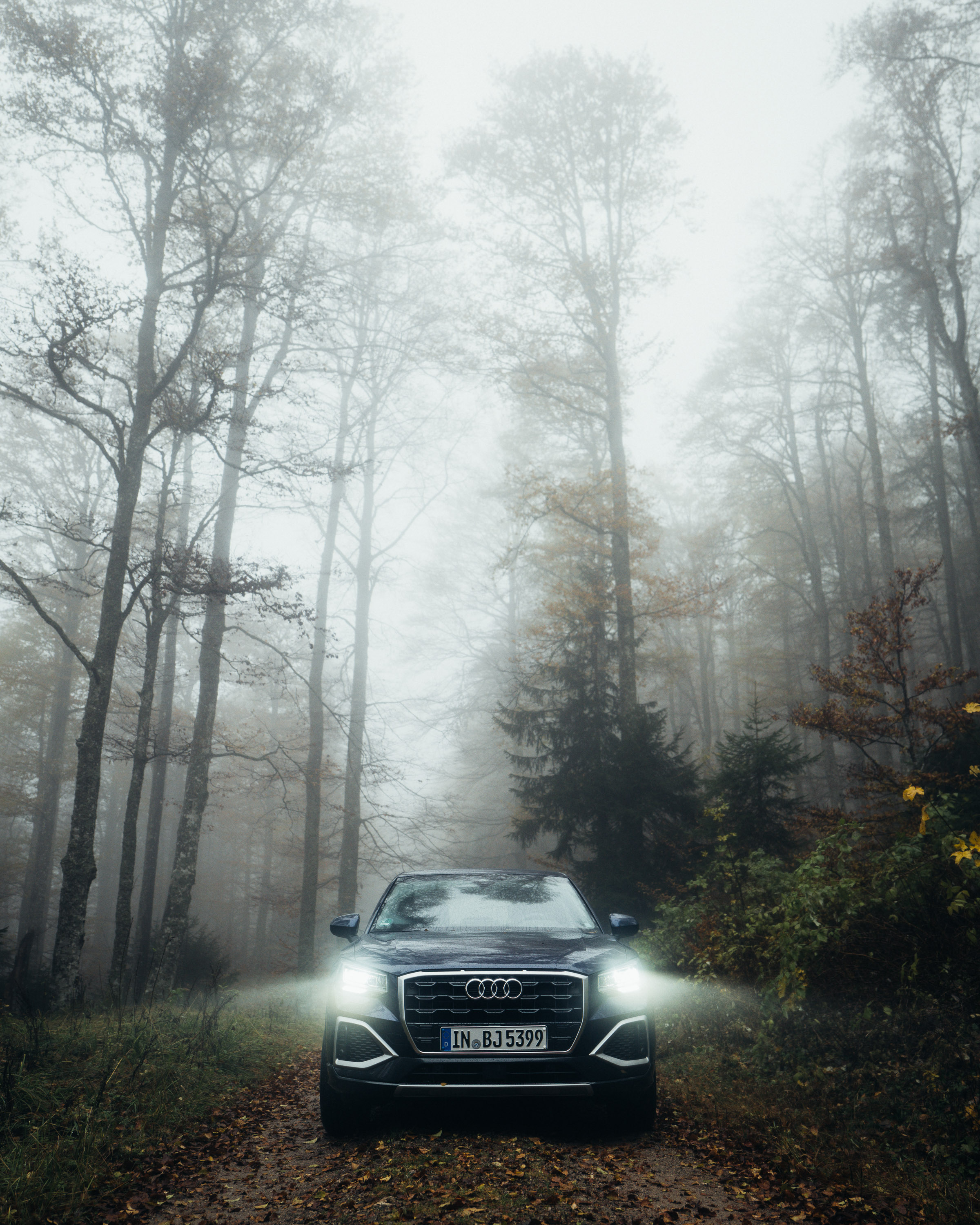 audi 21