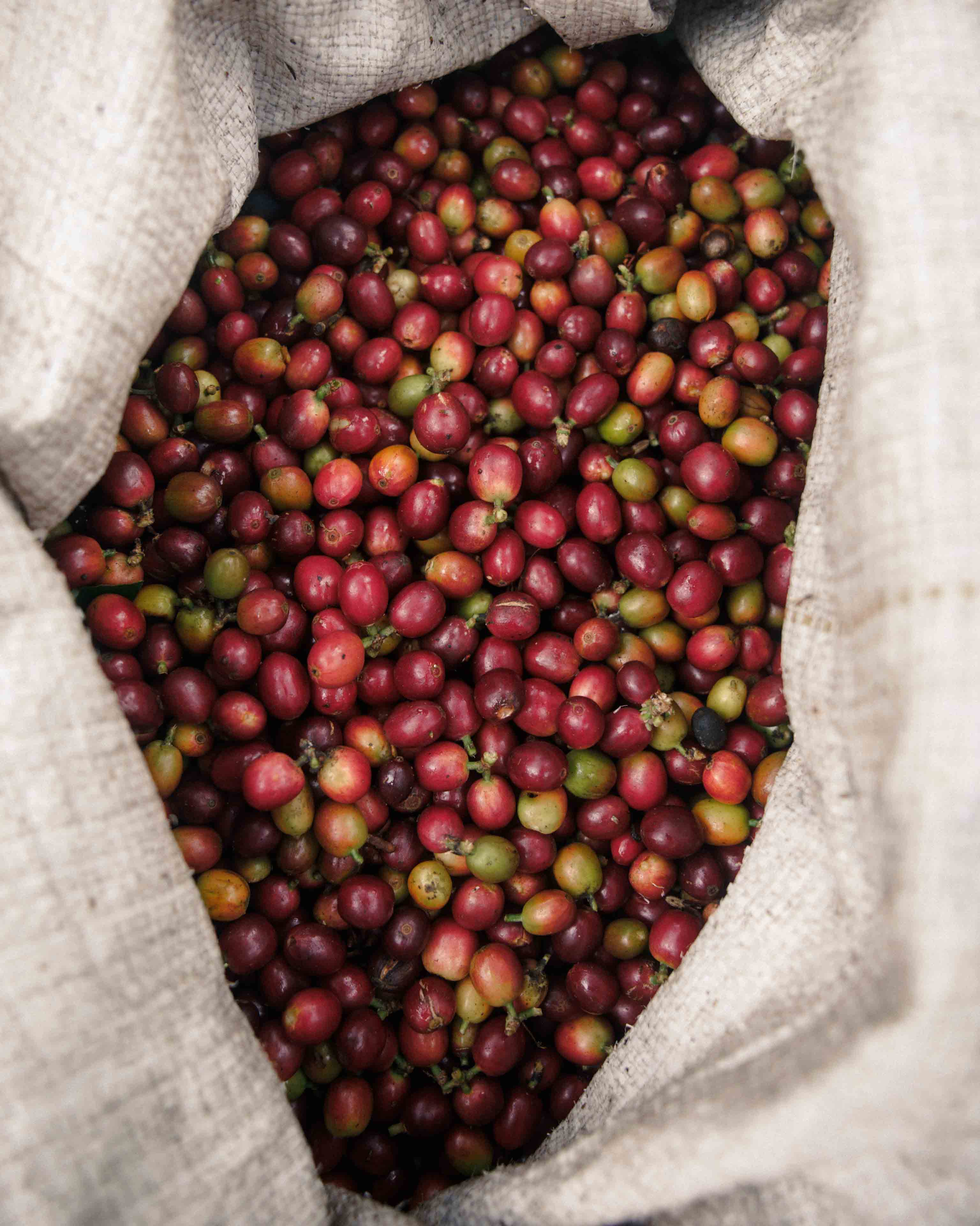colombia 24