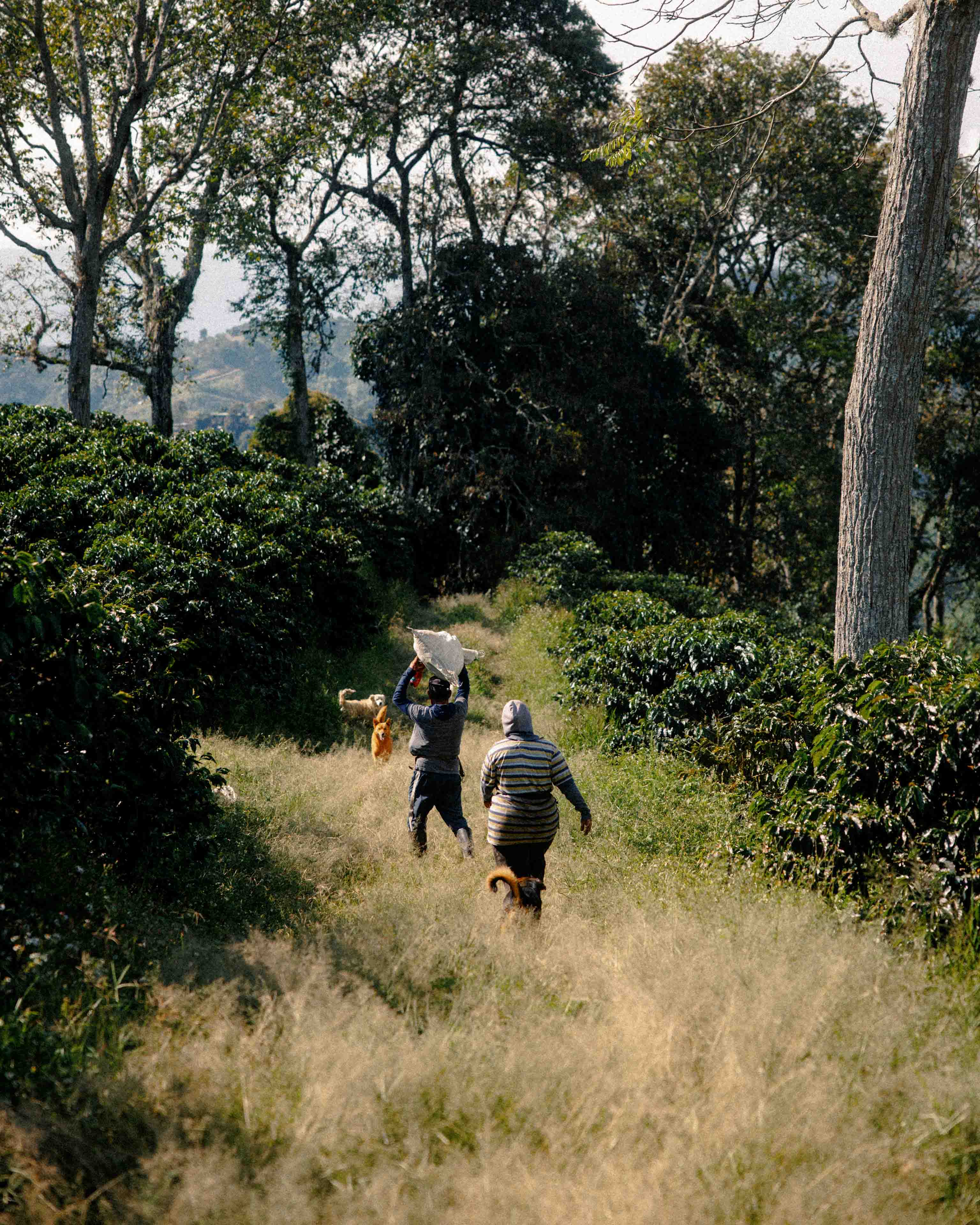 colombia 3