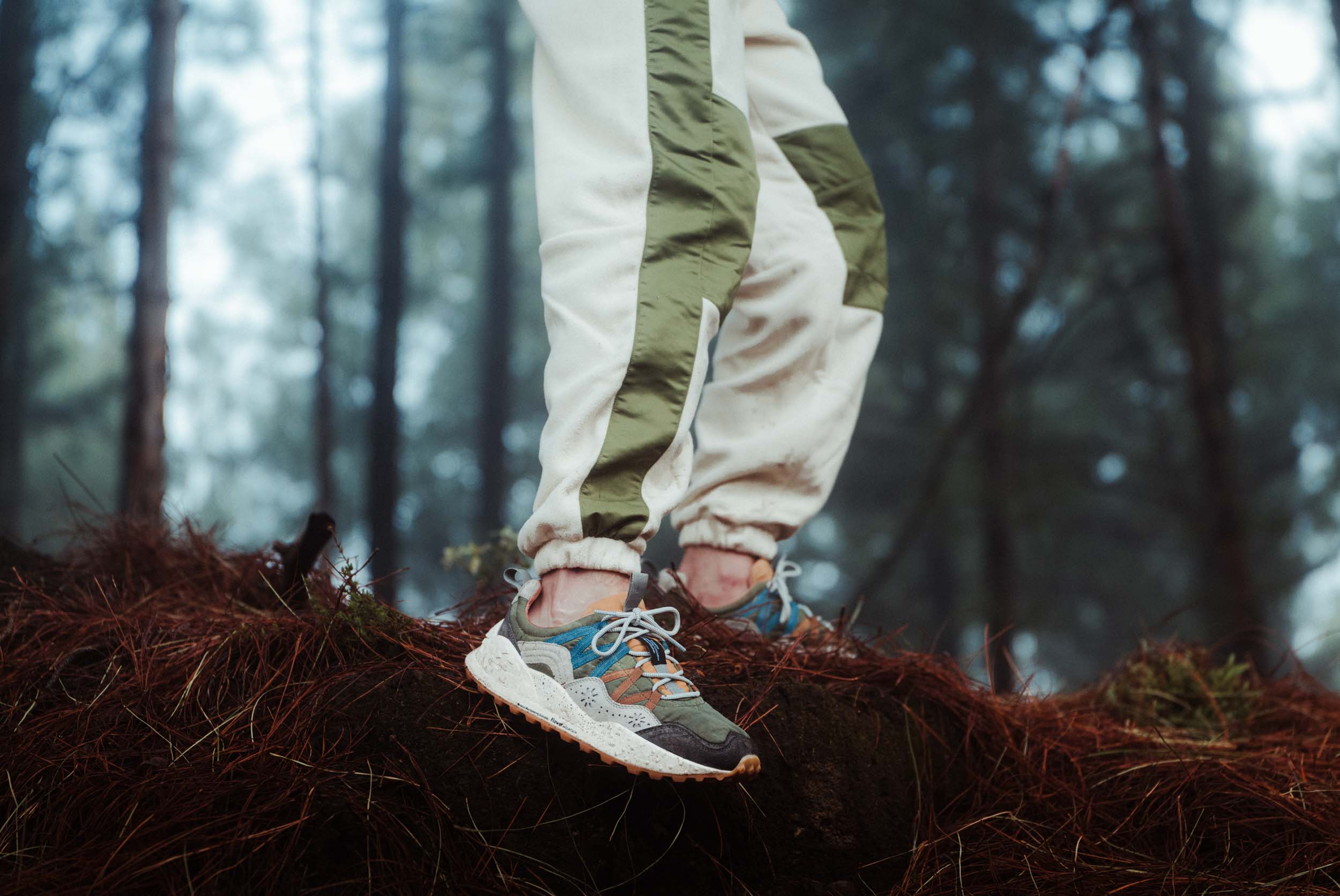 flowermountain 9