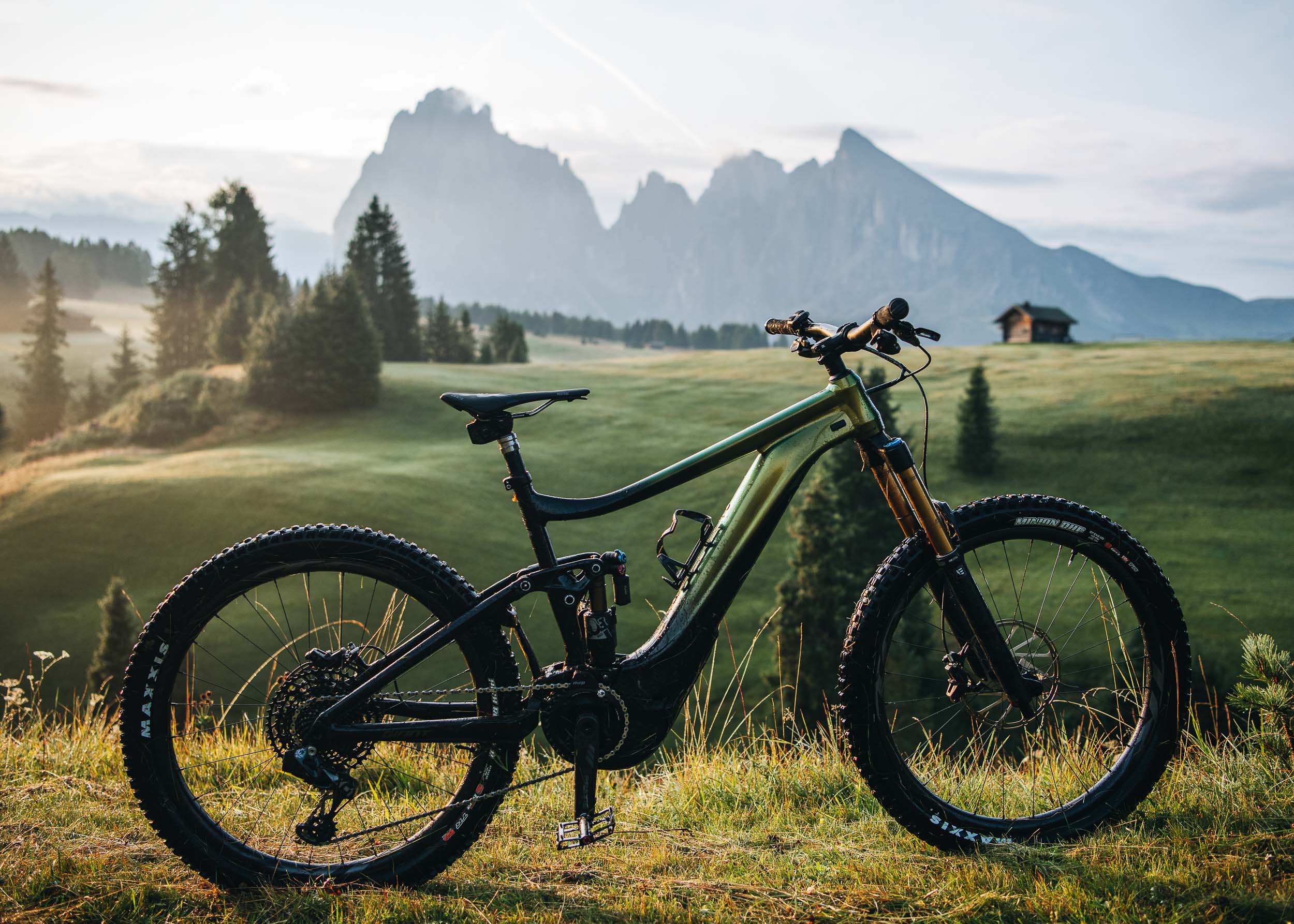 giant 10
