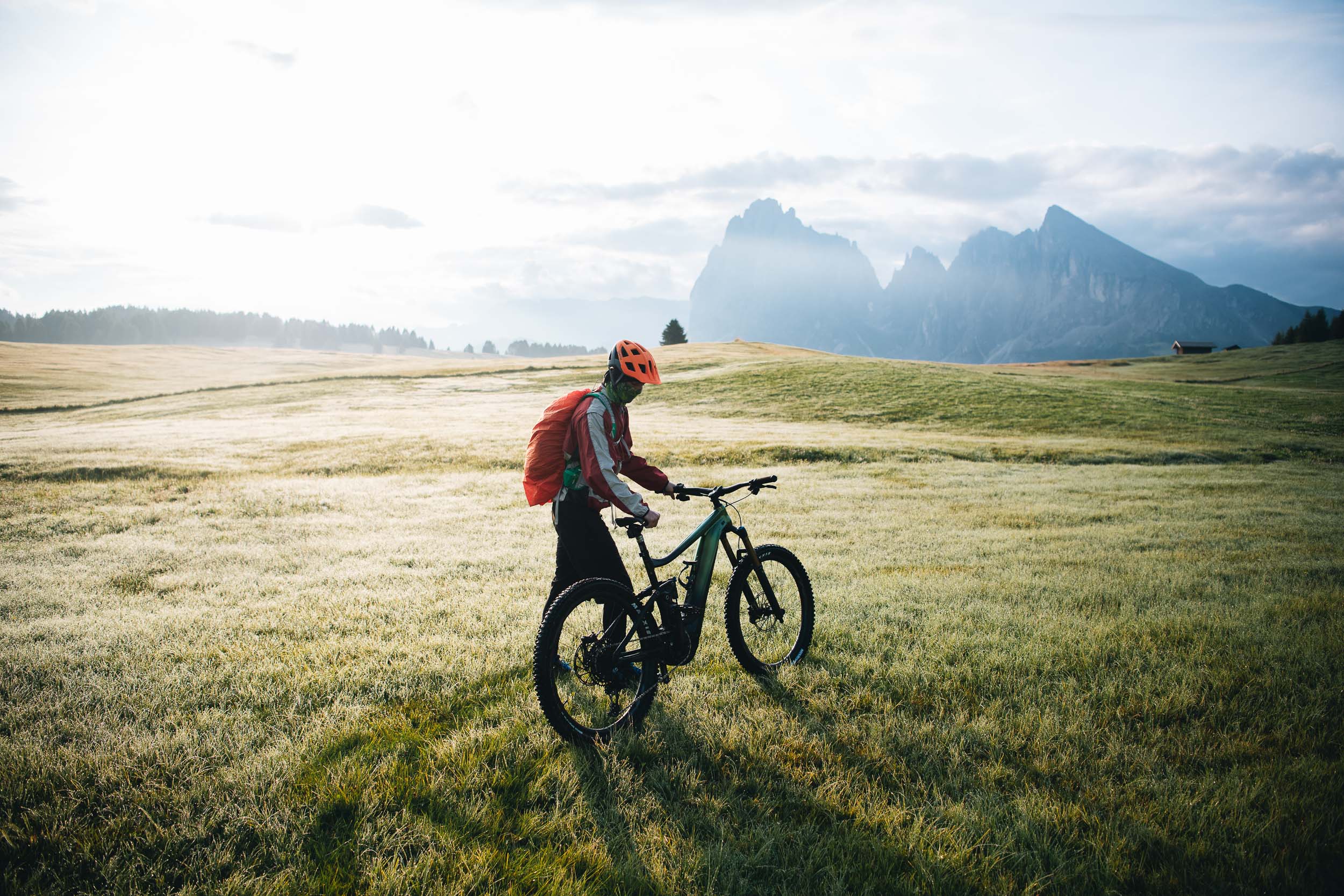 Giant Bikes