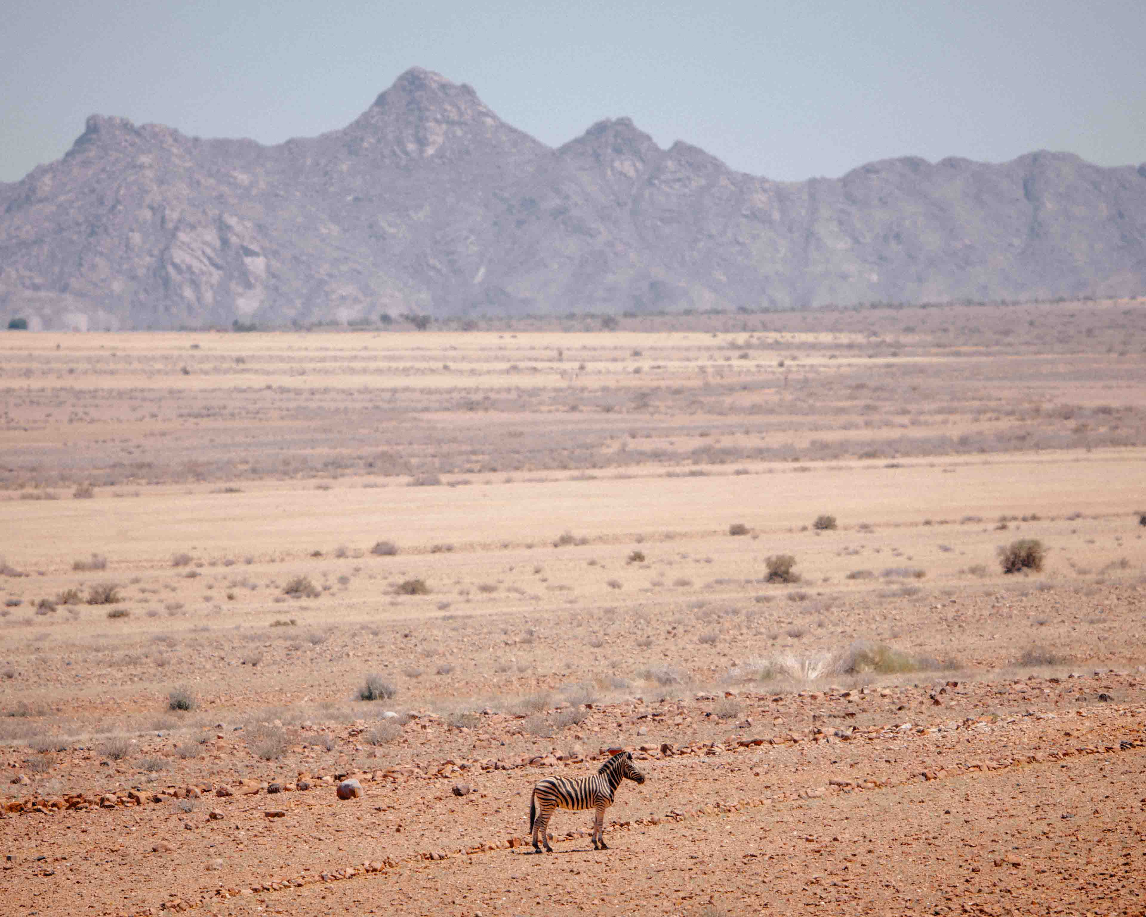 namibia 10