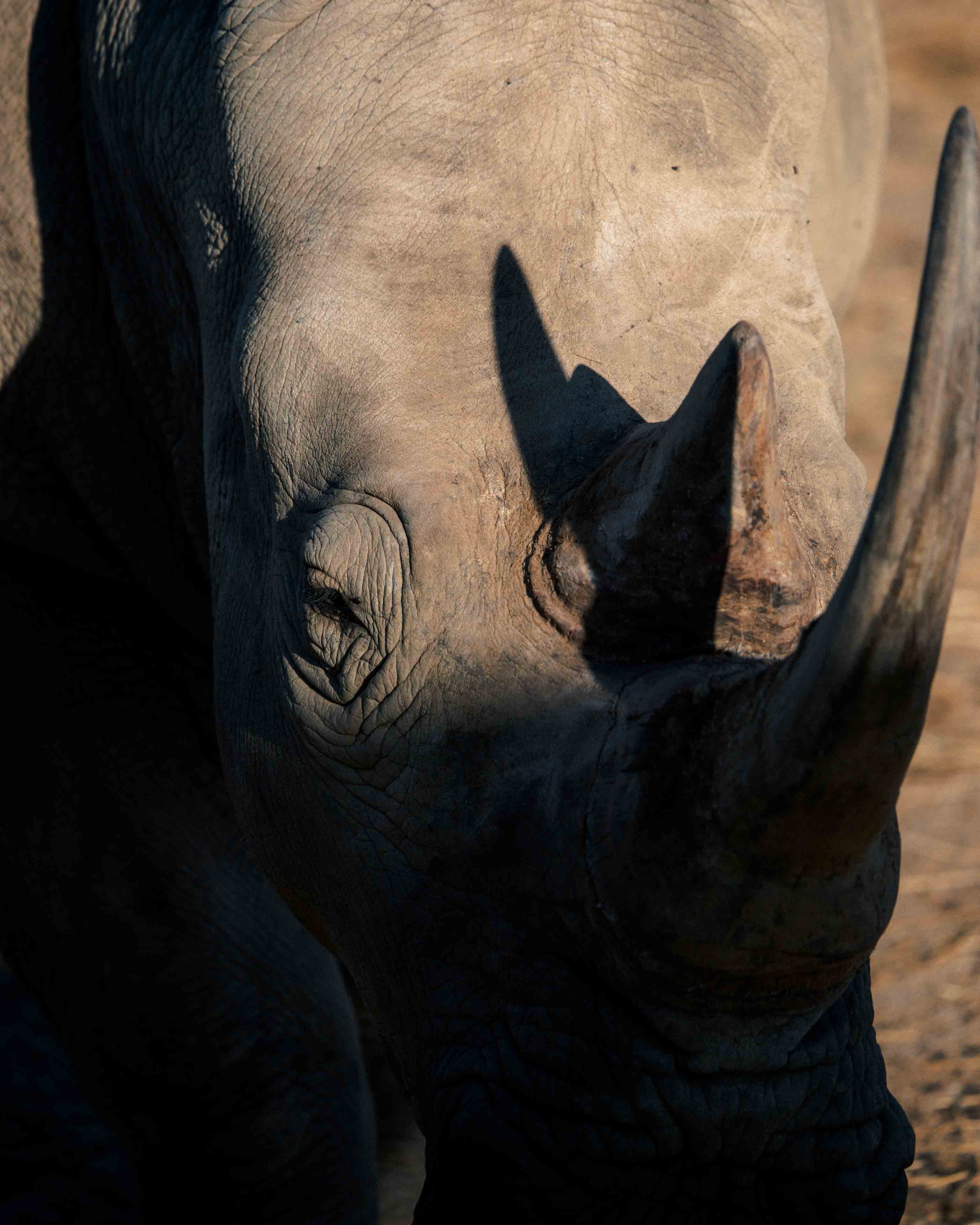 namibia 16