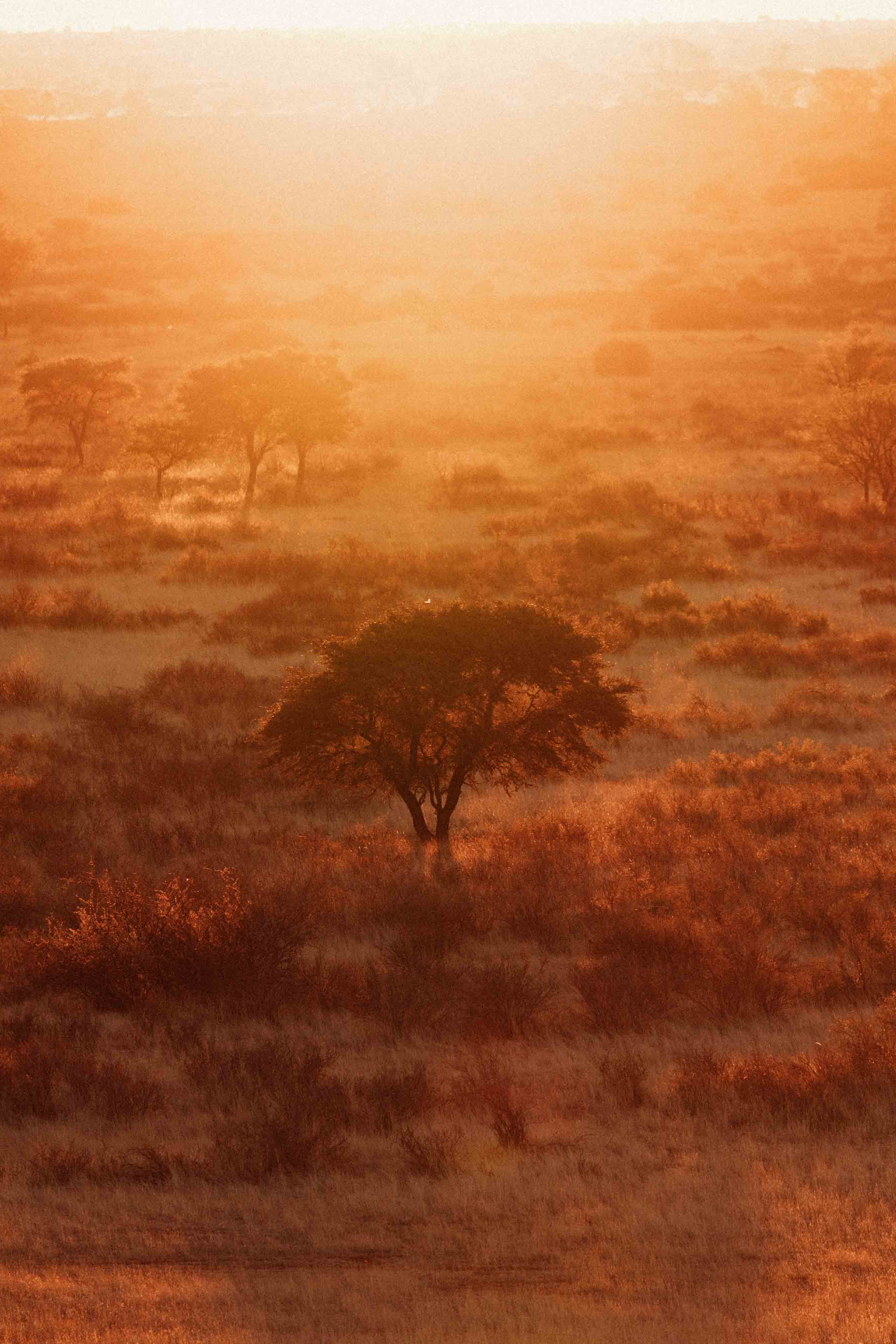 namibia 2