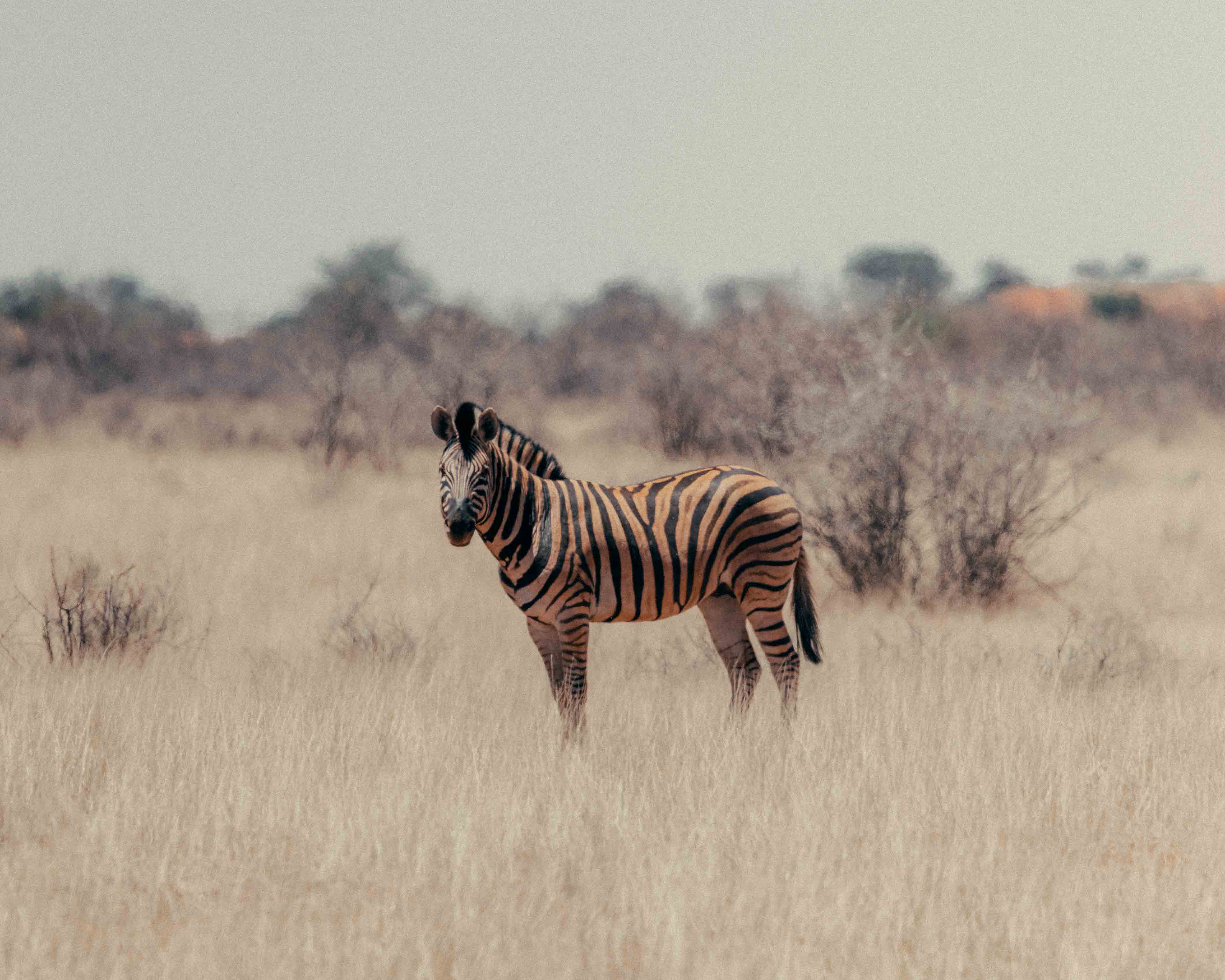 Namibia