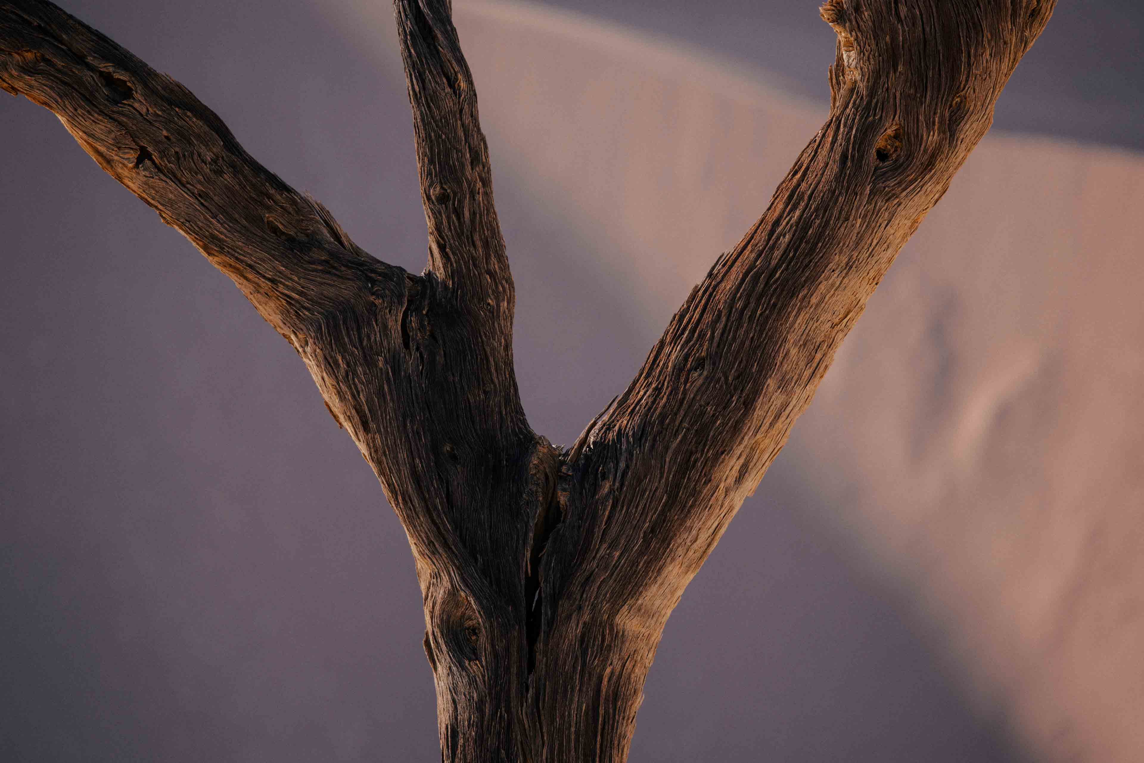 Namibia